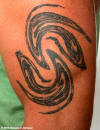 RF Cafe Cool Pic - Strange Attractor of a Duffing Oscillator tattoo