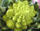 Romanesco Broccoli, a Mathematician's Delight - RF CAfe Cool Pic