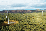 Offline Turbines at Wind Farms Kept Warm by Diesel Generators - RF Cafe