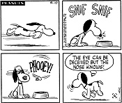 Peanuts Comic Snoopy Nose Knows - RF Cafe